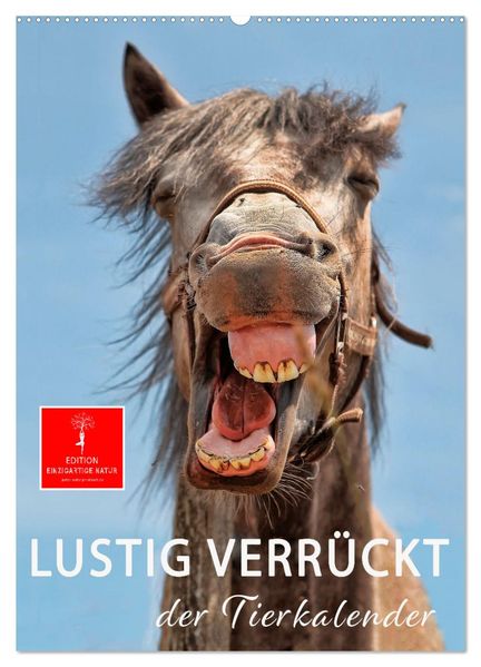 Lustig verrückt - der Tierkalender (Wandkalender 2026 DIN A2 hoch) CALVENDO Monatskalender
