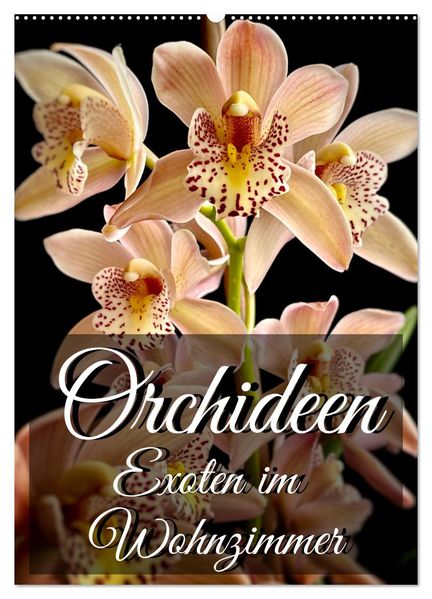 Orchideen - Exoten im Wohnzimmer (Wandkalender 2026 DIN A2 hoch) CALVENDO Monatskalender