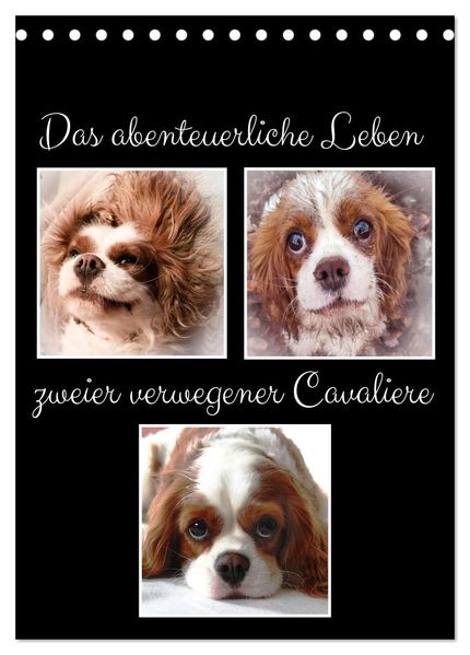 Das abenteuerliche Leben zweier verwegener Cavaliere (Tischkalender 2026 DIN A5 hoch) CALVENDO Monatskalender