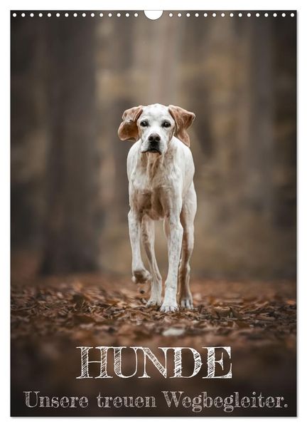 Hunde - Unsere treuen Wegbegleiter. (Wandkalender 2026 DIN A3 hoch) CALVENDO Monatskalender
