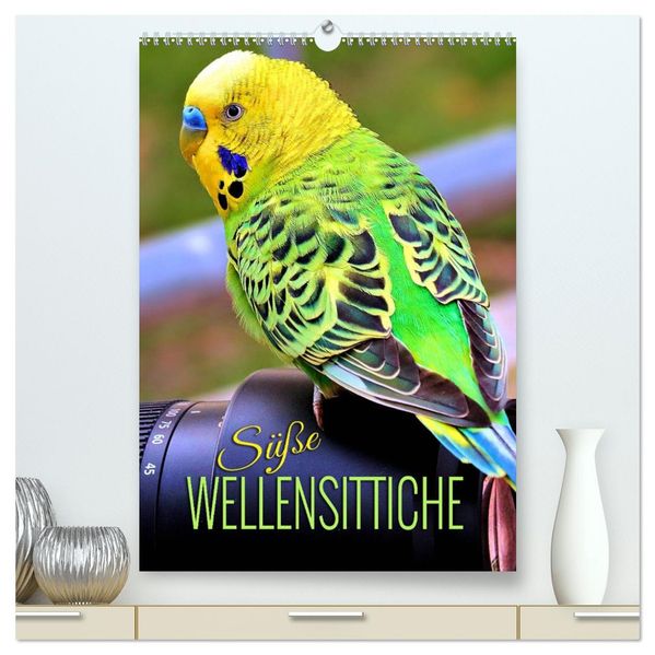 Süße Wellensittiche (hochwertiger Premium Wandkalender 2026 DIN A2 hoch) Kunstdruck in Hochglanz
