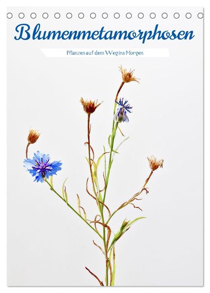 Blumenmetamorphosen (Tischkalender 2026 DIN A5 hoch) CALVENDO Monatskalender