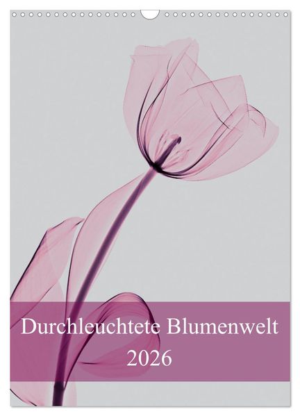 Durchleuchtete Blumenwelt 2026 (Wandkalender 2026 DIN A3 hoch) CALVENDO Monatskalender