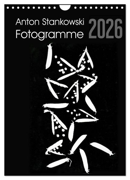 Anton Stankowski Fotogramme (Wandkalender 2026 DIN A4 hoch) CALVENDO Monatskalender