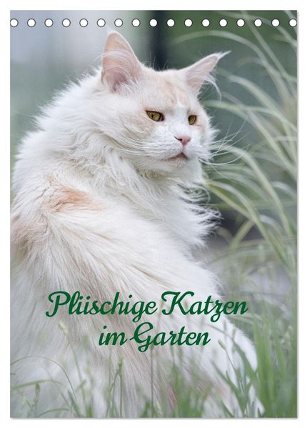 Plüschige Katzen im Garten (Tischkalender 2026 DIN A5 hoch) CALVENDO Monatskalender