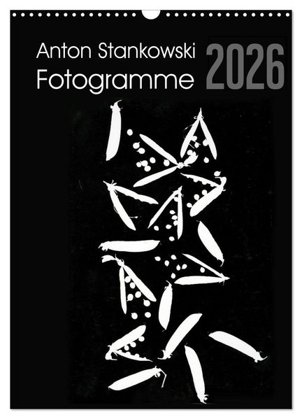 Anton Stankowski Fotogramme (Wandkalender 2026 DIN A3 hoch) CALVENDO Monatskalender