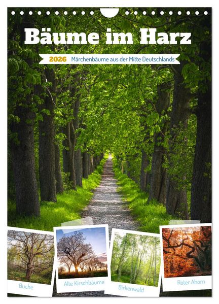 Bäume im Harz (Wandkalender 2026 DIN A4 hoch) CALVENDO Monatskalender
