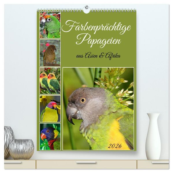 Farbenprächtige Papageien aus Asien und Afrika (hochwertiger Premium Wandkalender 2026 DIN A2 hoch) Kunstdruck in Hochglanz