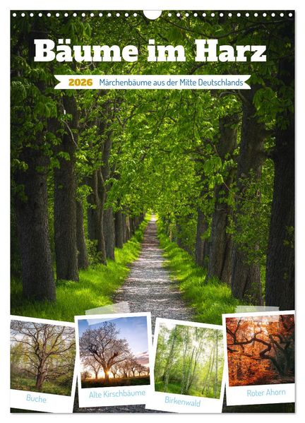 Bäume im Harz (Wandkalender 2026 DIN A3 hoch) CALVENDO Monatskalender