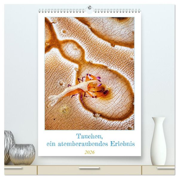 Tauchen ein atemberaubendes Erlebnis (hochwertiger Premium Wandkalender 2026 DIN A2 hoch) Kunstdruck in Hochglanz