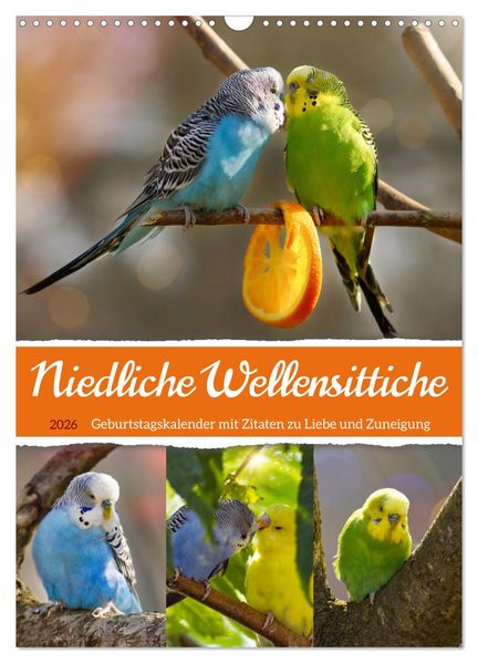 Niedliche Wellensittiche (Wandkalender 2026 DIN A3 hoch) CALVENDO Monatskalender