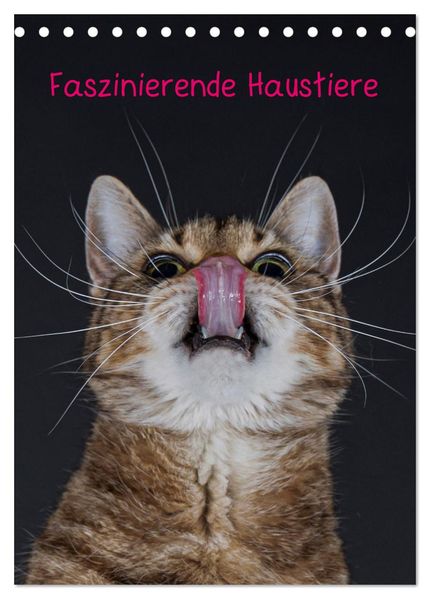 Faszinierende Haustiere (Tischkalender 2026 DIN A5 hoch) CALVENDO Monatskalender