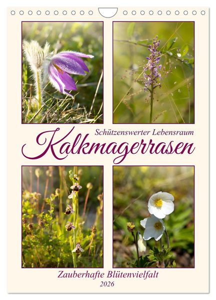 Kalkmagerrasen (Wandkalender 2026 DIN A4 hoch) CALVENDO Monatskalender