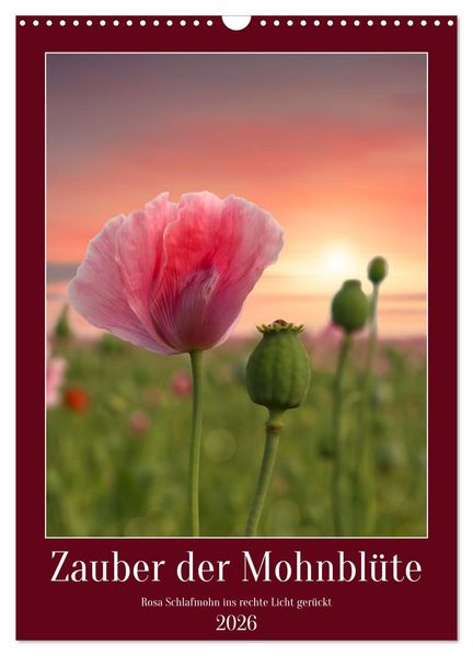 Zauber der Mohnblüte (Wandkalender 2026 DIN A3 hoch) CALVENDO Monatskalender