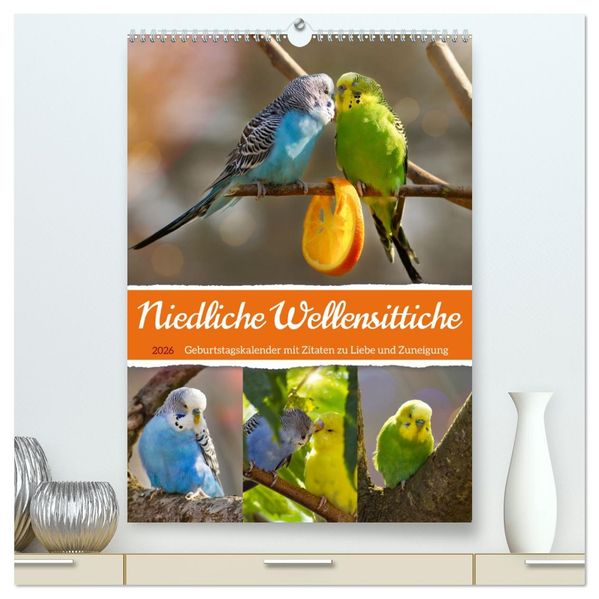 Niedliche Wellensittiche (hochwertiger Premium Wandkalender 2026 DIN A2 hoch) Kunstdruck in Hochglanz