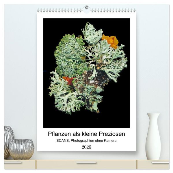 Pflanzen als kleine Preziosen (hochwertiger Premium Wandkalender 2026 DIN A2 hoch) Kunstdruck in Hochglanz