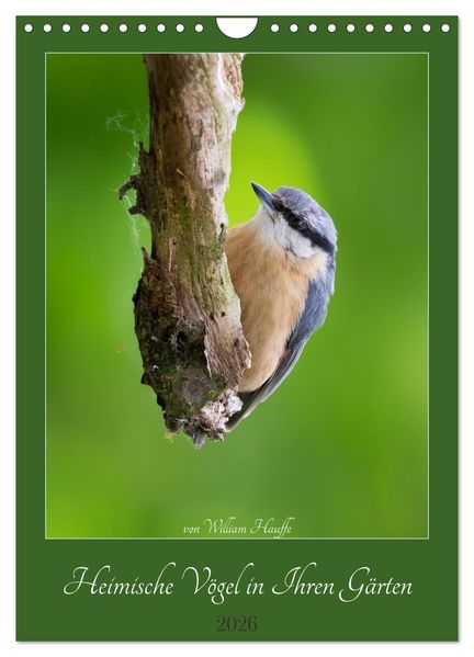 Heimische Vögel in Ihren Gärten (Wandkalender 2026 DIN A4 hoch) CALVENDO Monatskalender