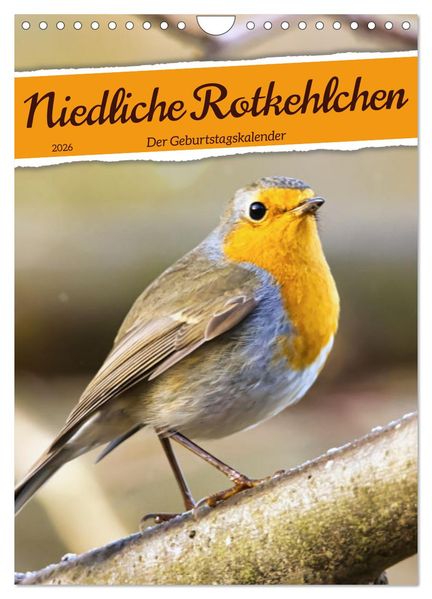 Niedliche Rotkehlchen (Wandkalender 2026 DIN A4 hoch) CALVENDO Monatskalender