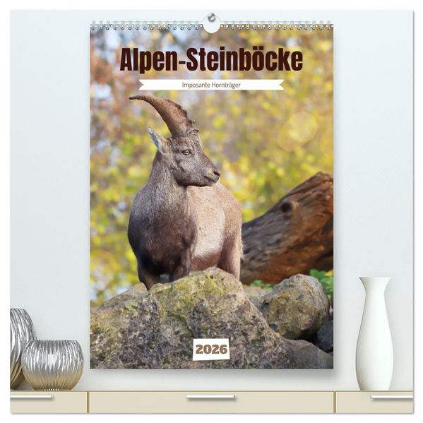 Alpen-Steinböcke imposante Hornträger (hochwertiger Premium Wandkalender 2026 DIN A2 hoch) Kunstdruck in Hochglanz