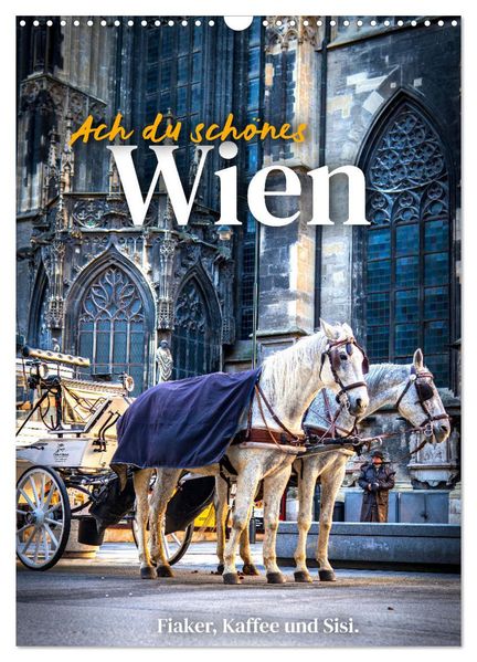 Ach du schönes Wien (Wandkalender 2026 DIN A3 hoch) CALVENDO Monatskalender
