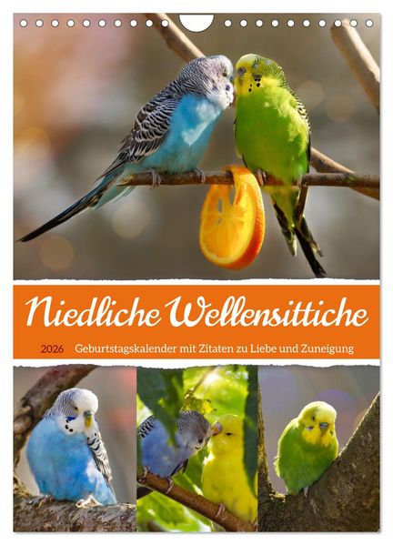 Niedliche Wellensittiche (Wandkalender 2026 DIN A4 hoch) CALVENDO Monatskalender