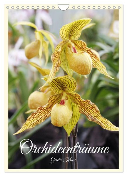 Orchideenträume (Wandkalender 2026 DIN A4 hoch) CALVENDO Monatskalender