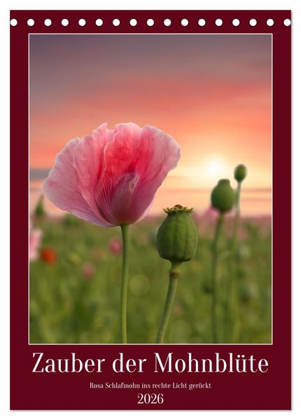 Zauber der Mohnblüte (Tischkalender 2026 DIN A5 hoch) CALVENDO Monatskalender