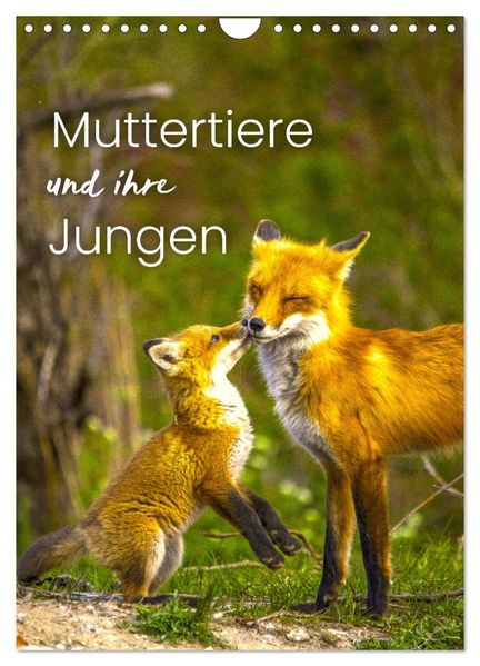 Muttertiere und ihre Jungen (Wandkalender 2026 DIN A4 hoch) CALVENDO Monatskalender