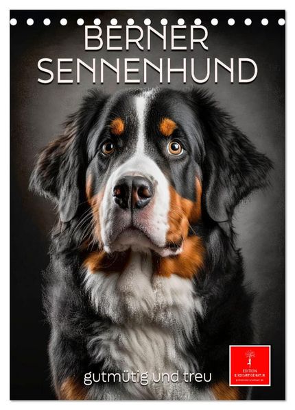Berner Sennenhund - gutmütig und treu (Tischkalender 2026 DIN A5 hoch) CALVENDO Monatskalender