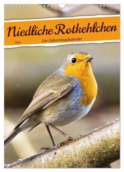 Niedliche Rotkehlchen (Wandkalender 2026 DIN A3 hoch) CALVENDO Monatskalender