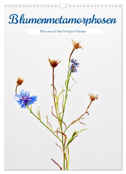 Blumenmetamorphosen (Wandkalender 2026 DIN A3 hoch) CALVENDO Monatskalender