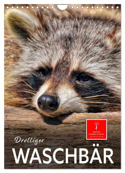 Drolliger Waschbär (Wandkalender 2026 DIN A4 hoch) CALVENDO Monatskalender