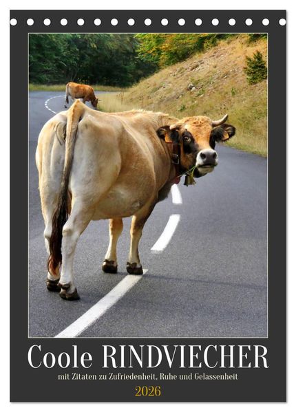 Coole Rindviecher (Tischkalender 2026 DIN A5 hoch) CALVENDO Monatskalender