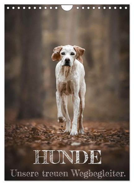 Hunde - Unsere treuen Wegbegleiter. (Wandkalender 2026 DIN A4 hoch) CALVENDO Monatskalender
