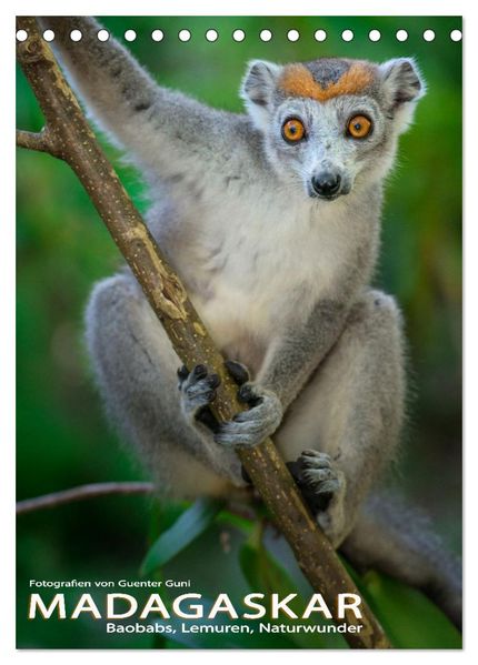 MADAGASKAR: Baobabs Lemuren Naturwunder (Tischkalender 2026 DIN A5 hoch) CALVENDO Monatskalender