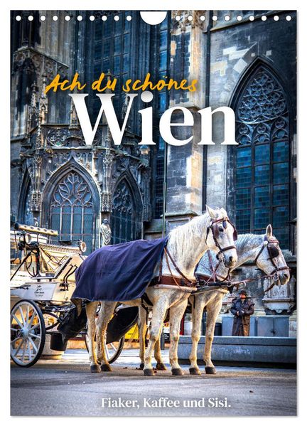 Ach du schönes Wien (Wandkalender 2026 DIN A4 hoch) CALVENDO Monatskalender