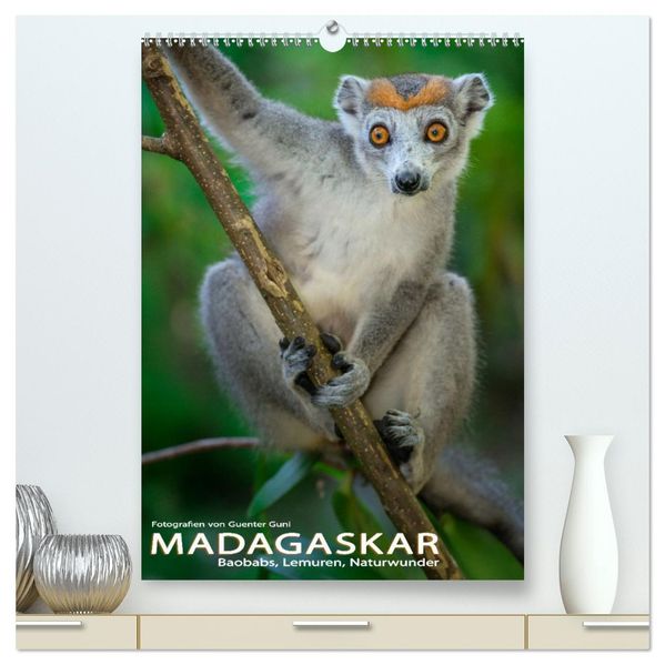 MADAGASKAR: Baobabs Lemuren Naturwunder (hochwertiger Premium Wandkalender 2026 DIN A2 hoch) Kunstdruck in Hochglanz