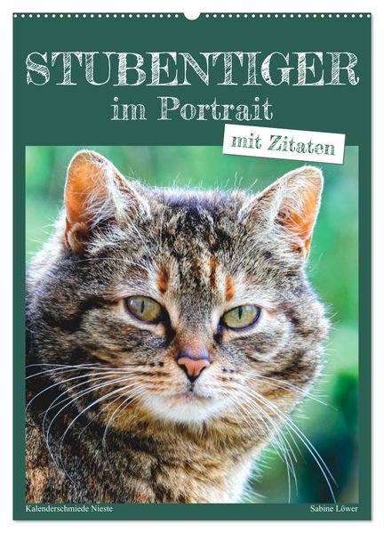 Stubentiger im Portrait (Wandkalender 2026 DIN A2 hoch) CALVENDO Monatskalender