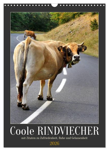 Coole Rindviecher (Wandkalender 2026 DIN A3 hoch) CALVENDO Monatskalender