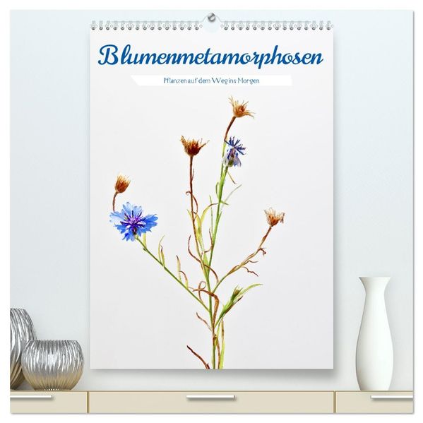 Blumenmetamorphosen (hochwertiger Premium Wandkalender 2026 DIN A2 hoch) Kunstdruck in Hochglanz
