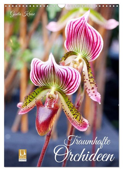 Traumhafte Orchideen (Wandkalender 2026 DIN A3 hoch) CALVENDO Monatskalender