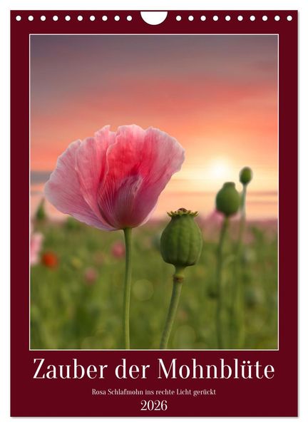 Zauber der Mohnblüte (Wandkalender 2026 DIN A4 hoch) CALVENDO Monatskalender