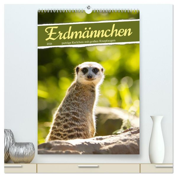 Erdmännchen putzige Kerlchen mit großen Knopfaugen (hochwertiger Premium Wandkalender 2026 DIN A2 hoch) Kunstdruck in Hochglanz