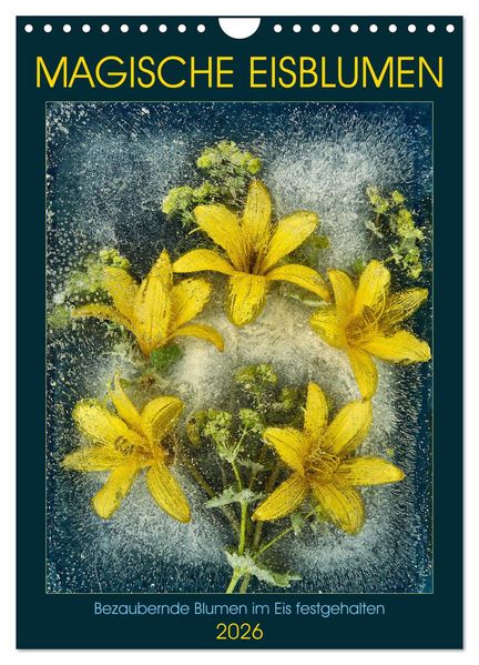 Magische Eisblumen (Wandkalender 2026 DIN A4 hoch) CALVENDO Monatskalender