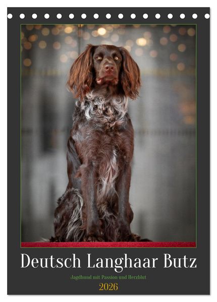 Deutsch Langhaar Butz - Jagdhund mit Passion und Herzblut (Tischkalender 2026 DIN A5 hoch) CALVENDO Monatskalender