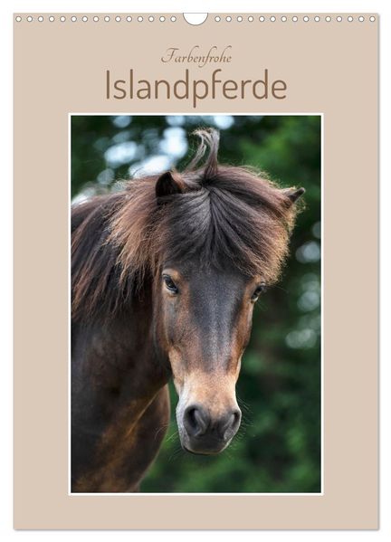 Farbenfrohe Islandpferde (Wandkalender 2026 DIN A3 hoch) CALVENDO Monatskalender