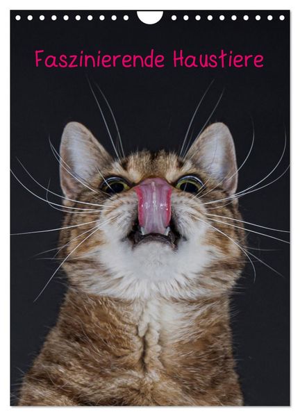 Faszinierende Haustiere (Wandkalender 2026 DIN A4 hoch) CALVENDO Monatskalender