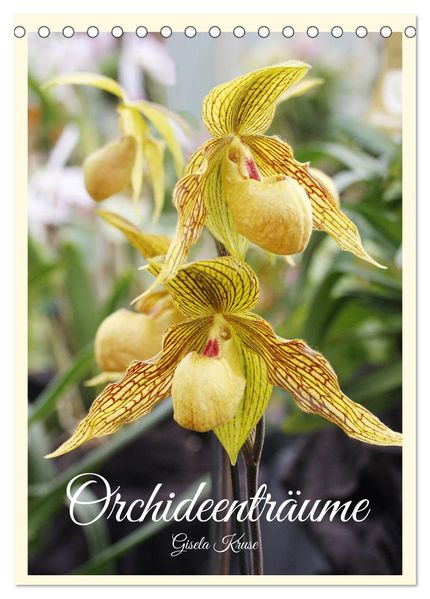 Orchideenträume (Tischkalender 2026 DIN A5 hoch) CALVENDO Monatskalender