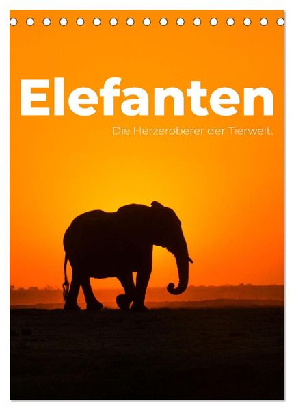 Elefanten - Die Herzeroberer der Tierwelt. (Tischkalender 2026 DIN A5 hoch) CALVENDO Monatskalender