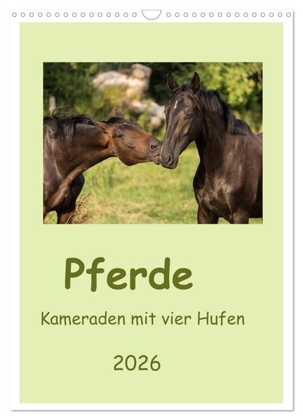 Pferde - Kameraden mit vier Hufen (Wandkalender 2026 DIN A3 hoch) CALVENDO Monatskalender